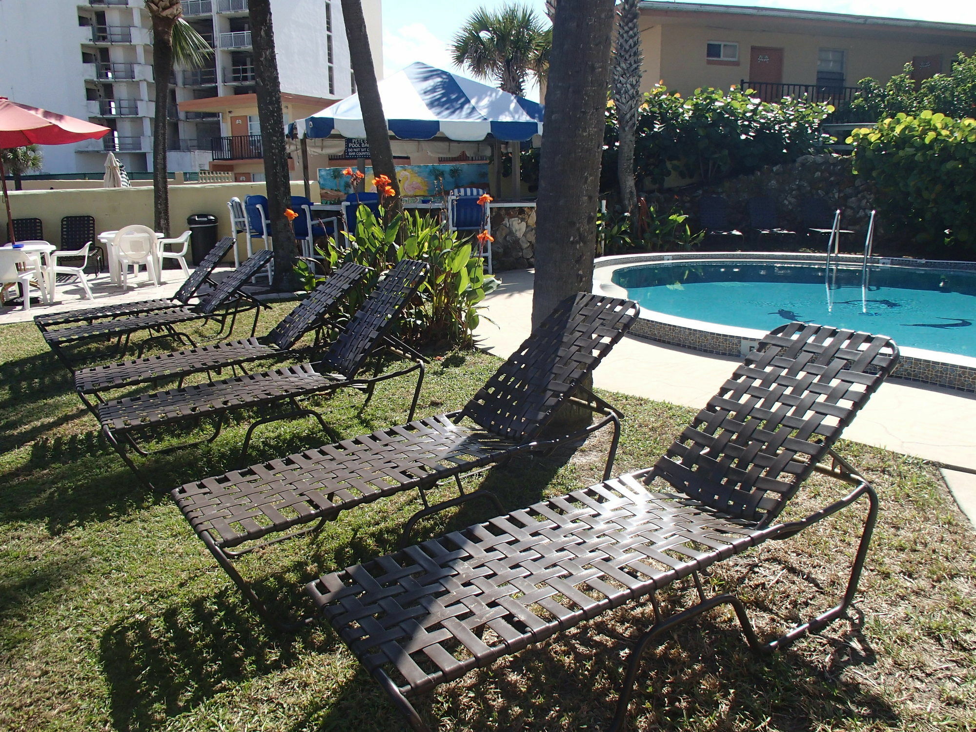 Flamingo Inn Beachfront - Daytona Beach Dış mekan fotoğraf